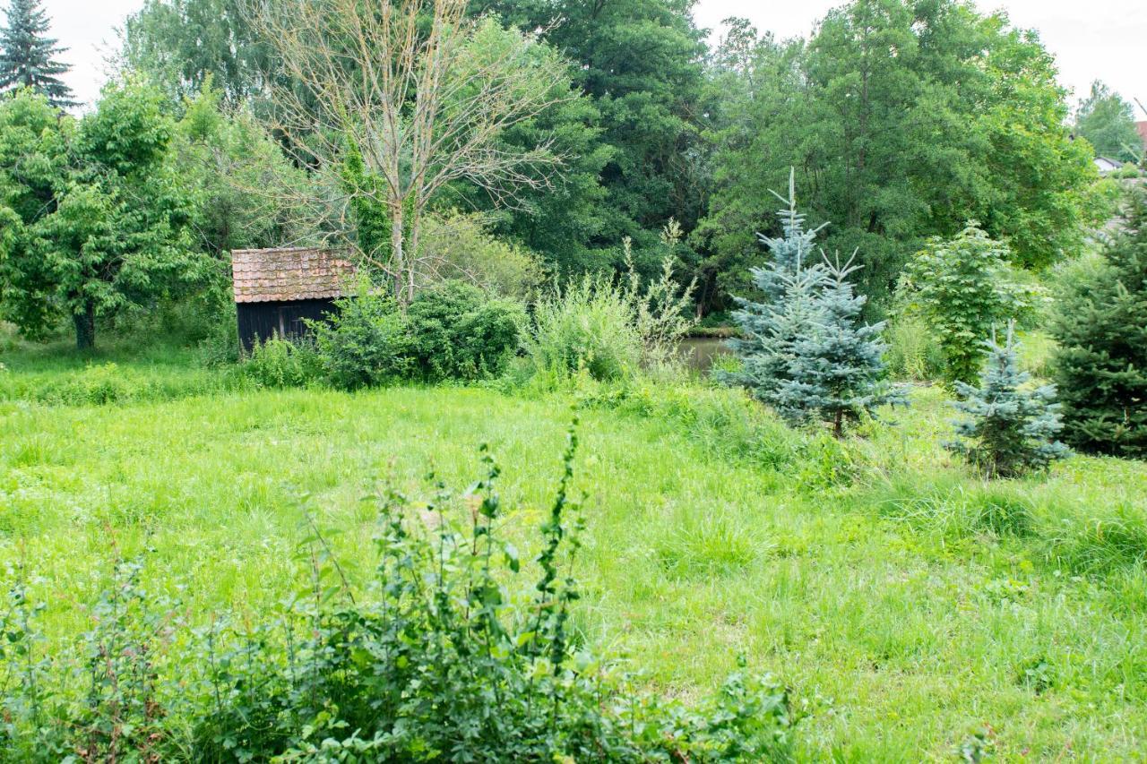 Ferienwohnung Auf Ehemaligen Bauernhof In Der Naehe Von Bamberg Walsdorf  Extérieur photo